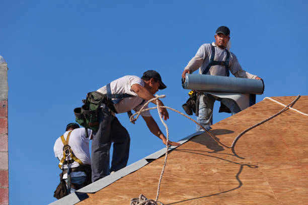 Best Roof Maintenance Services  in Brilliant, OH