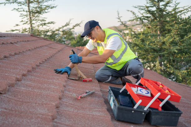 Best Shingle Roofing Installation  in Brilliant, OH