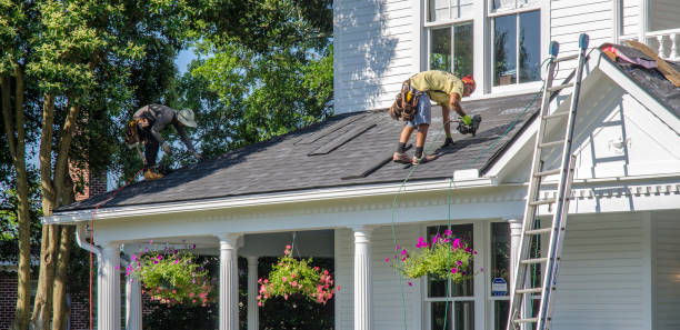 Best Roof Gutter Cleaning  in Brilliant, OH